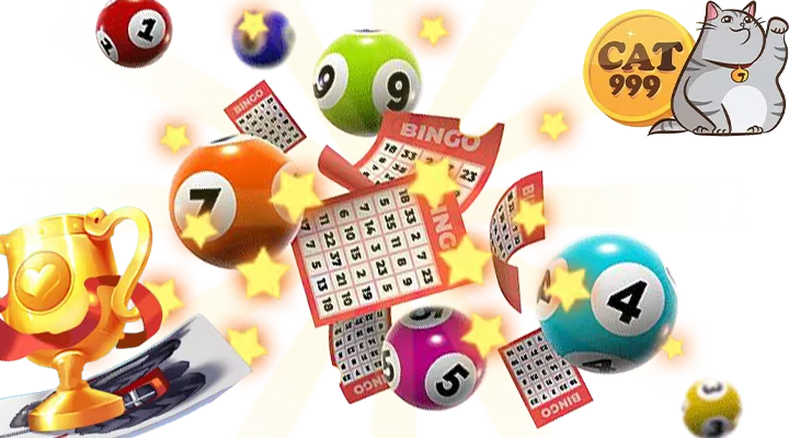 หวยcat999